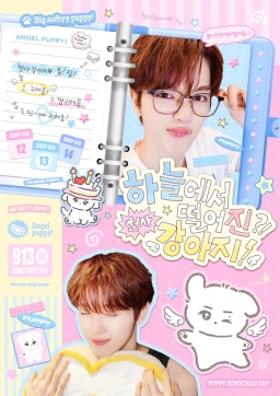 하늘에서 떨어진 천사강아지