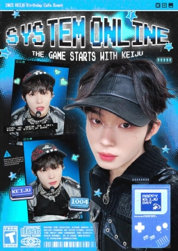 SYSTEM ONLINE