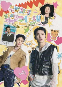 团队项目满级 權順榮