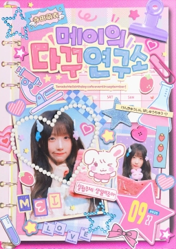 MEI's Diary Decoration Lab