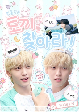 Hop Hop_Find the Rabbit