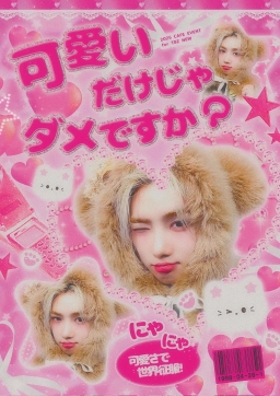 かわいいだけじゃダメですか？