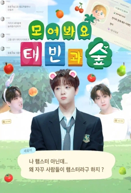 聚在一起，泰宾和森林