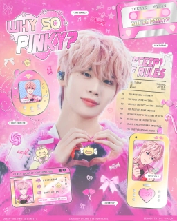 𝑾𝒉𝒚 𝑺𝒐 𝑷𝒊𝒏𝒌𝒚? ‧₊ ♪˚⊹