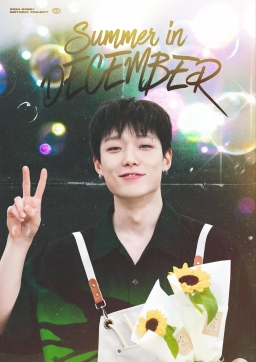 𝙎𝙪𝙢𝙢𝙚𝙧 𝙞𝙣 𝘿𝙚𝙘𝙚𝙢𝙗𝙚𝙧