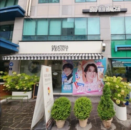 JYP 앞 젤라떼리아 피오니
