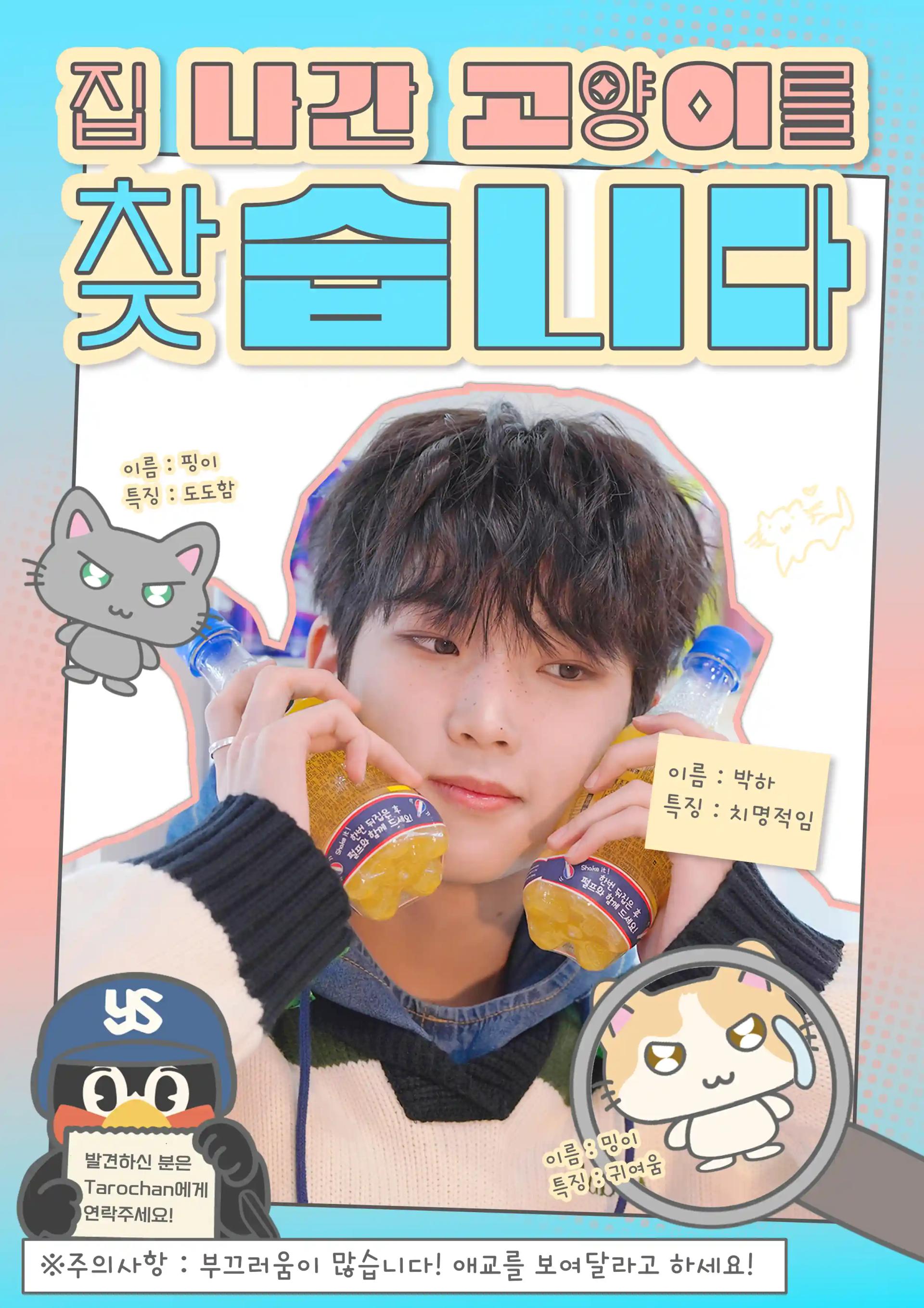 🏠Looking for the runaway ヱ양ગ🐈‍⬛