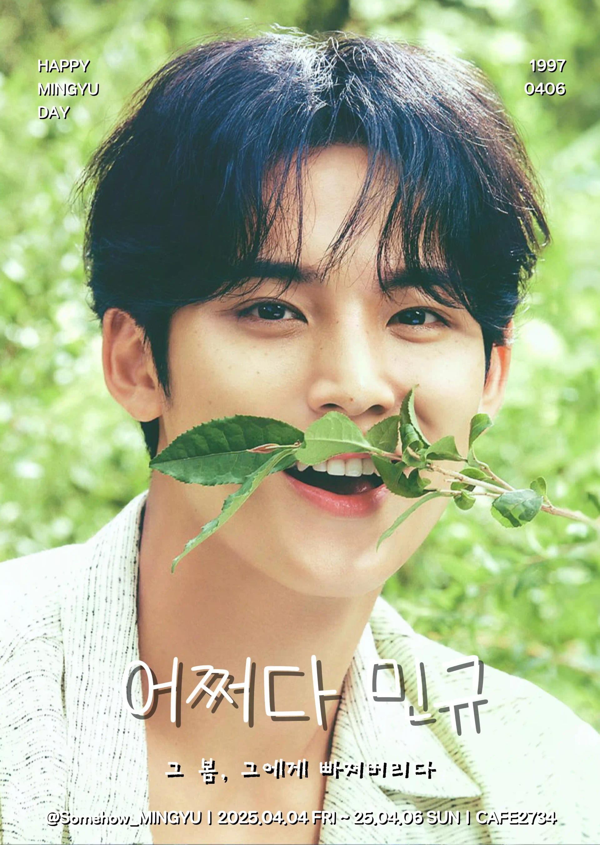 Falling in love with Mingyu that spring <Coincidentally, Mingyu>