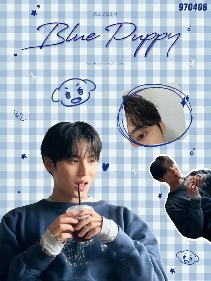 Mingyu birthday cafe event