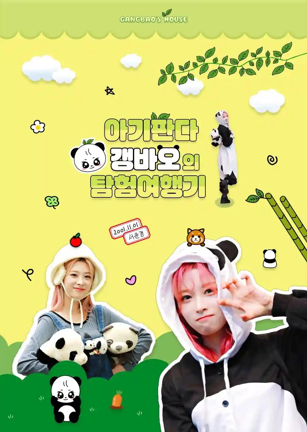 The Adventure Journey of Baby Panda Gangbao