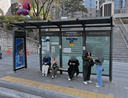 Ewha Womans Univ. Entrance [14207]