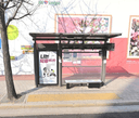 Bangi Middle School [24210]