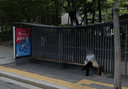 Seoul Museum of History.Gyeonggyojang.Gangbuk Samsung Hospital [01123]