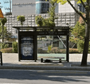 龍頭市場前 [06181]