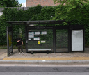 Surak Middle & High School [11204]