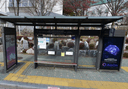 Seoul Asan Medical Center [24113]