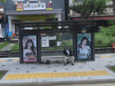 SBS Open Hall [16261]