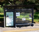 Daewang Elementary School [23454]