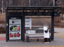 Godeok Xi [25111]