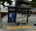 Hanseong Chinese School.Seodaemun Fire Station [13153]