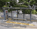 Yonsei Univ. [13115]