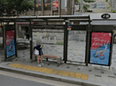 The Korea Economic Daily [02108]