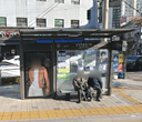 사당시장 [20180]