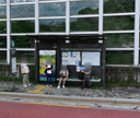 Sinjeong Forest Village Apt [15321]