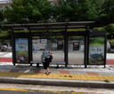 Yeonji Town Complex 2 [17399]