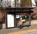 Yongdong Elementary School [11382]