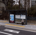 코오롱아파트.양재1동주민센터 [22277]