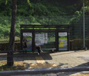 Sinwol City Apt.Gangwol Elementary School [15325]