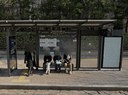 Yeongdong High Lake Palace [24149]
