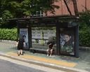 Jinmyeong Girls High School [15258]